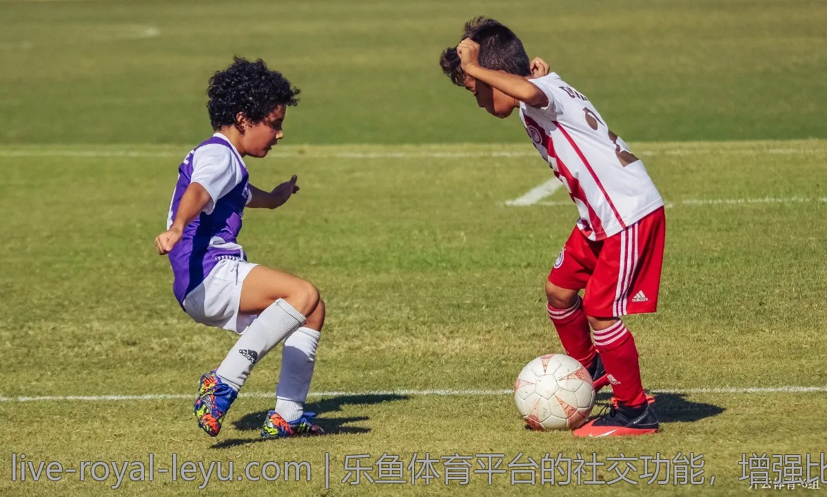 乐鱼体育平台的社交功能，增强比赛的乐趣