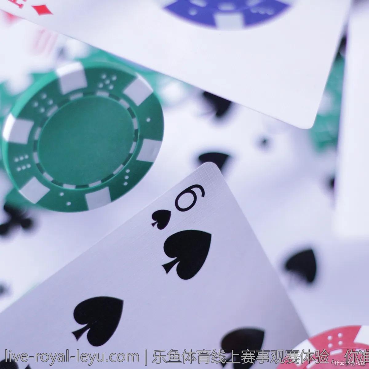 乐鱼体育线上赛事观赛体验，你准备好了吗？