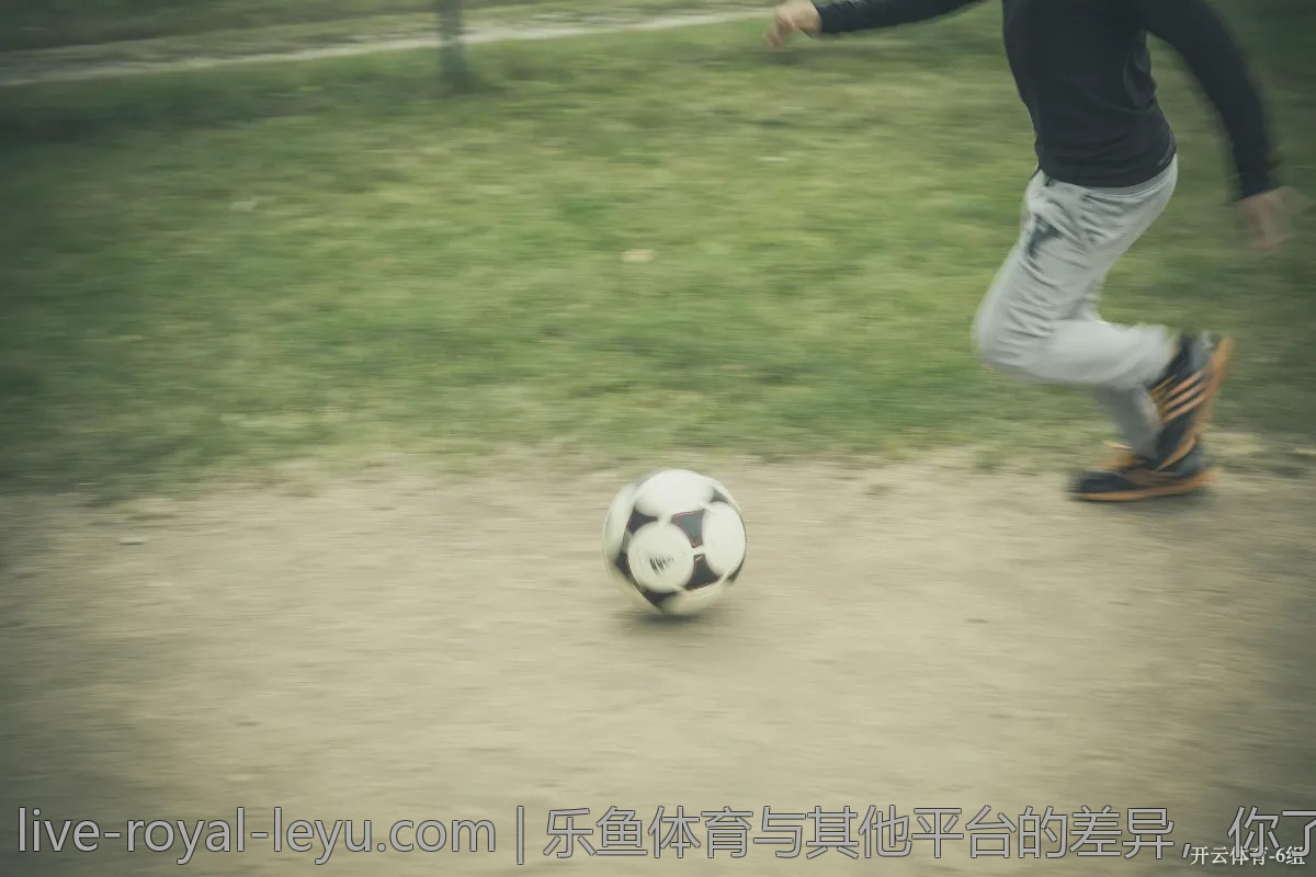 乐鱼体育与其他平台的差异，你了解吗？
