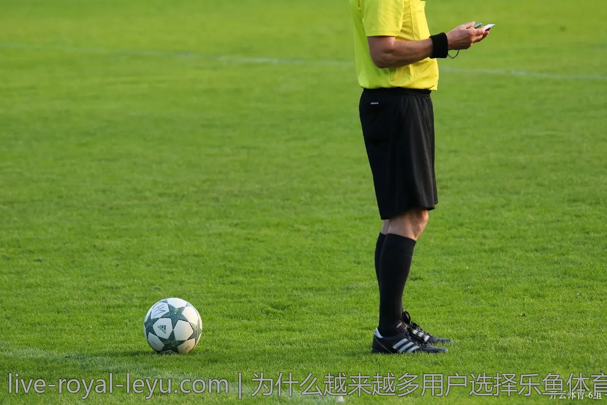 为什么越来越多用户选择乐鱼体育？