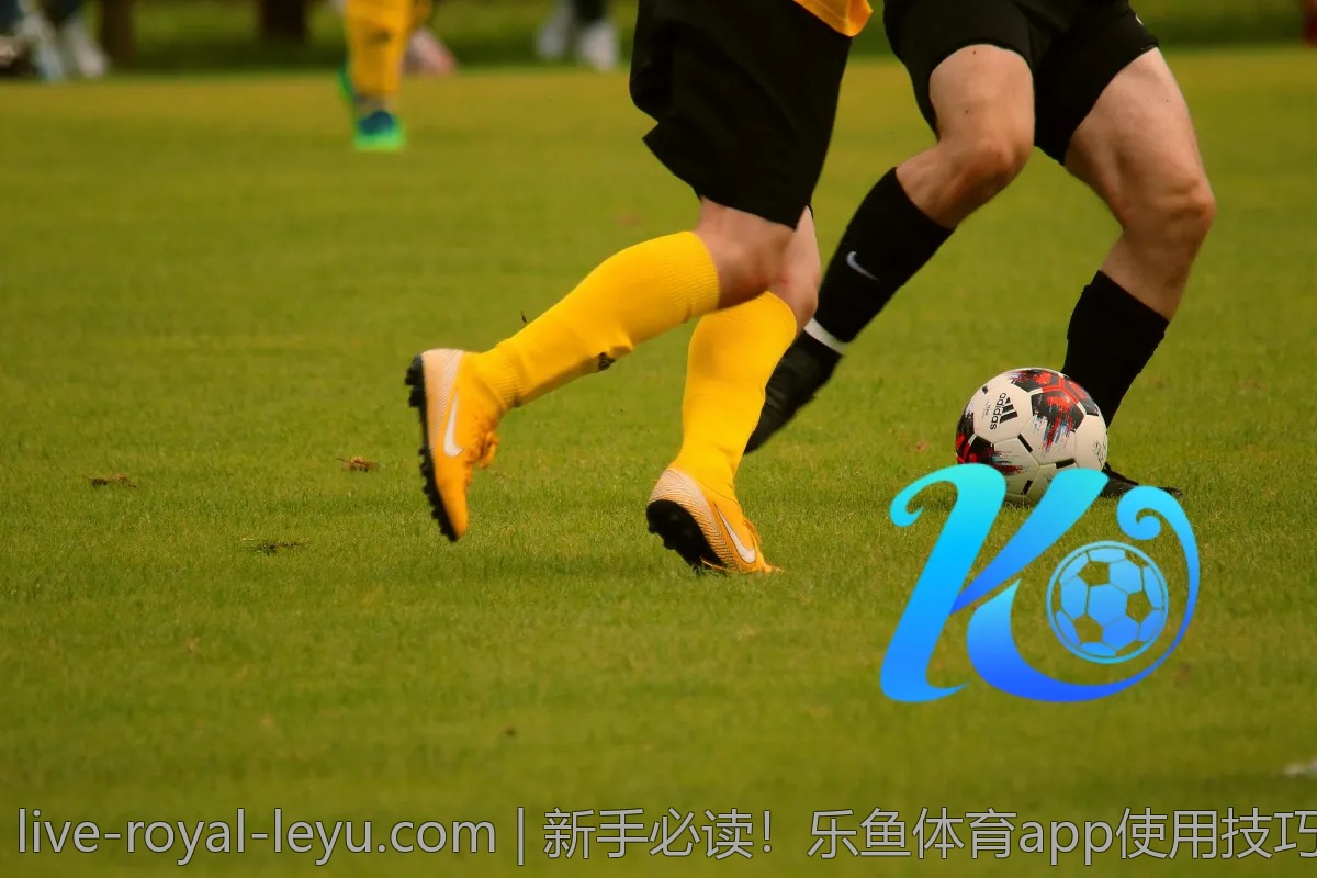 新手必读！乐鱼体育app使用技巧汇总